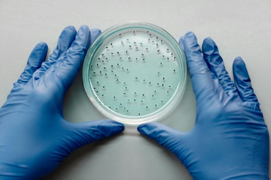 Do Water Filters Remove Bacteria?