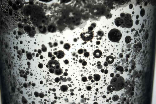 What is In Your Tap Water?